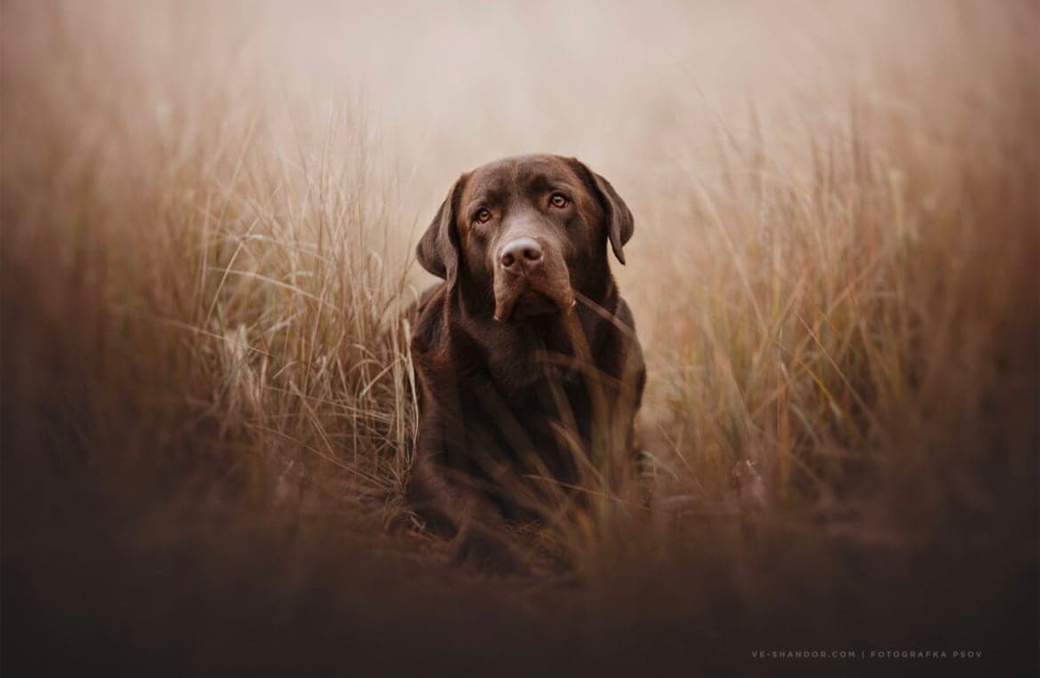 Arthur