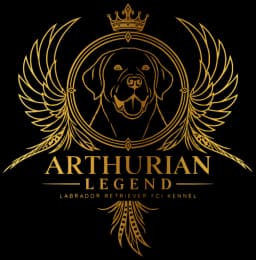 Arthurian Legend